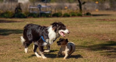 pexels-magda-ehlers-pexels-4479542