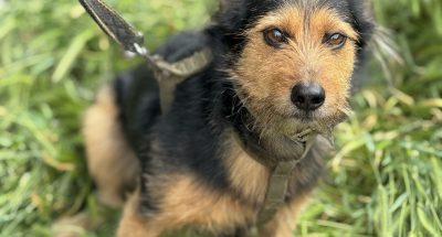 photo_2025-05-26_15-01-56