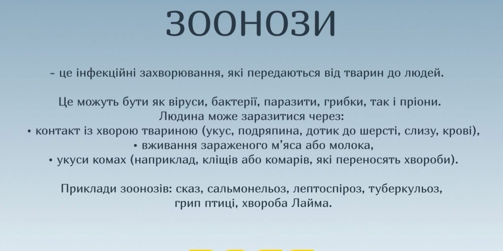 photo_2025-09-08_10-25-08