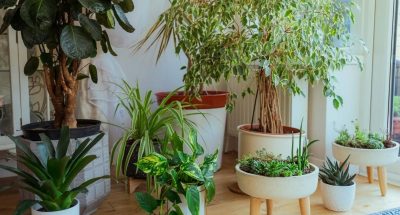 1200_0_1679770469-9796