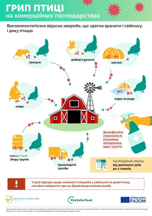 565118348_1201378258689462_3964160188218225000_n