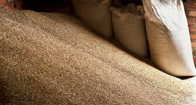 Wheat grains in sacks at mill storage, background