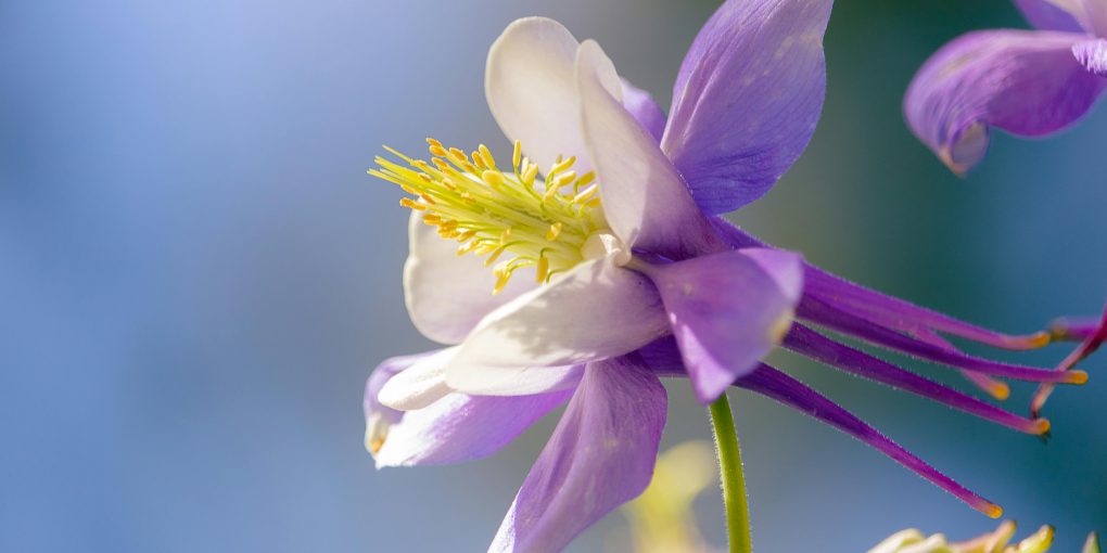 pexels-ashley-portillo-2151253026-31607053