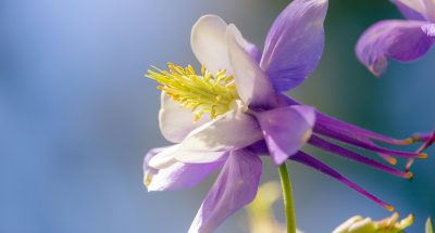 pexels-ashley-portillo-2151253026-31607053