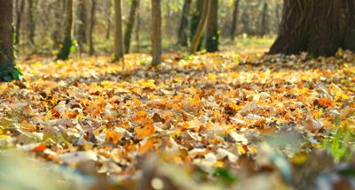 pexels-photograph-6023592