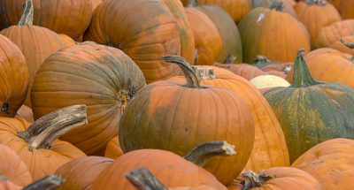 pexels-townsend-walton-6231368-10040383