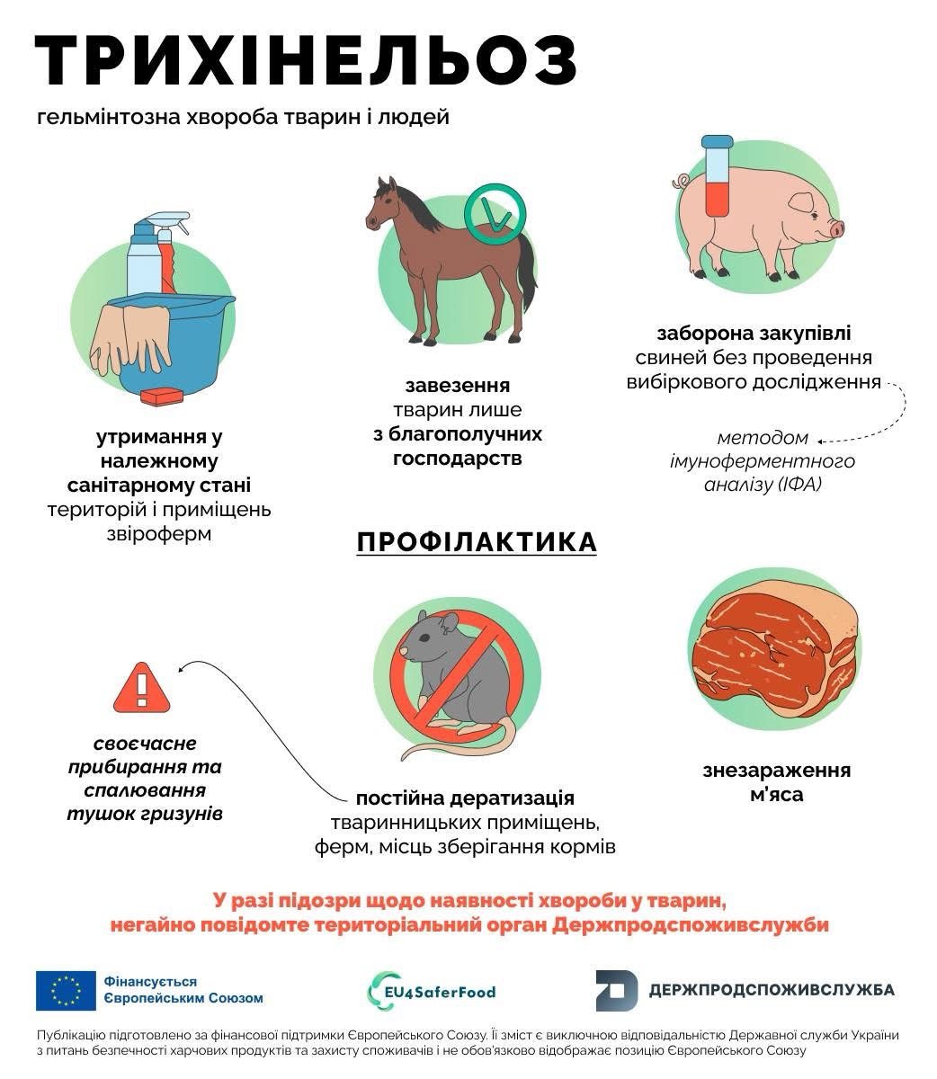 photo_2025-10-23_09-18-13