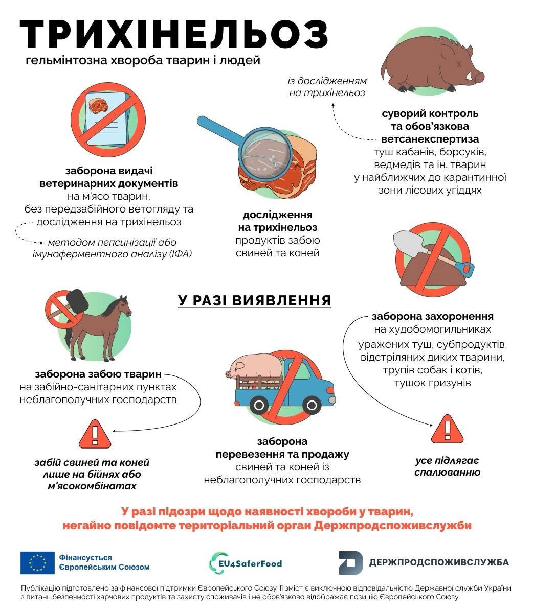 photo_2025-10-23_09-18-16