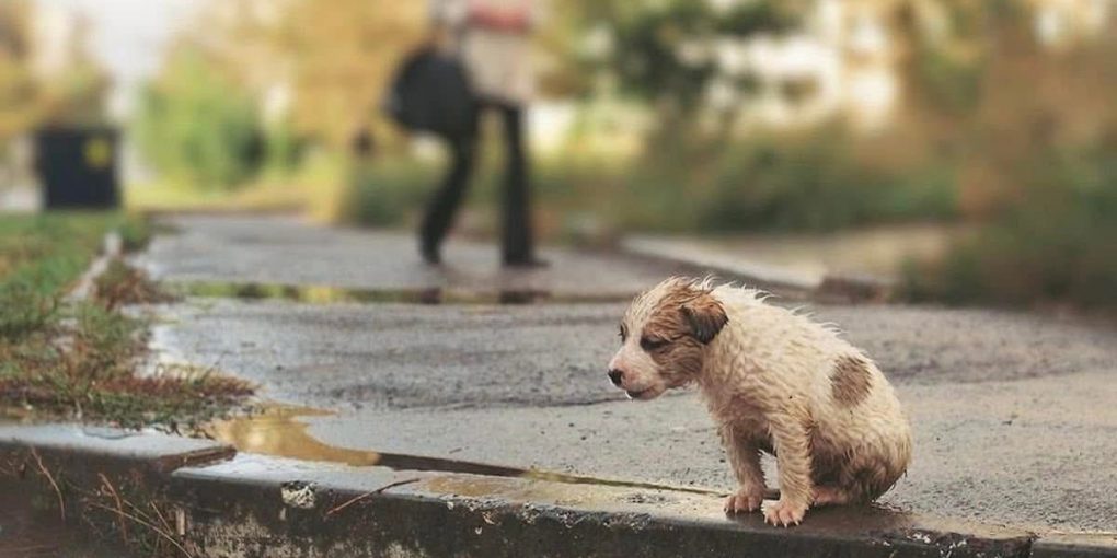 557606563_1431892908944113_3026002137455229907_n