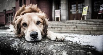 557617811_1431892885610782_7181637864657542477_n