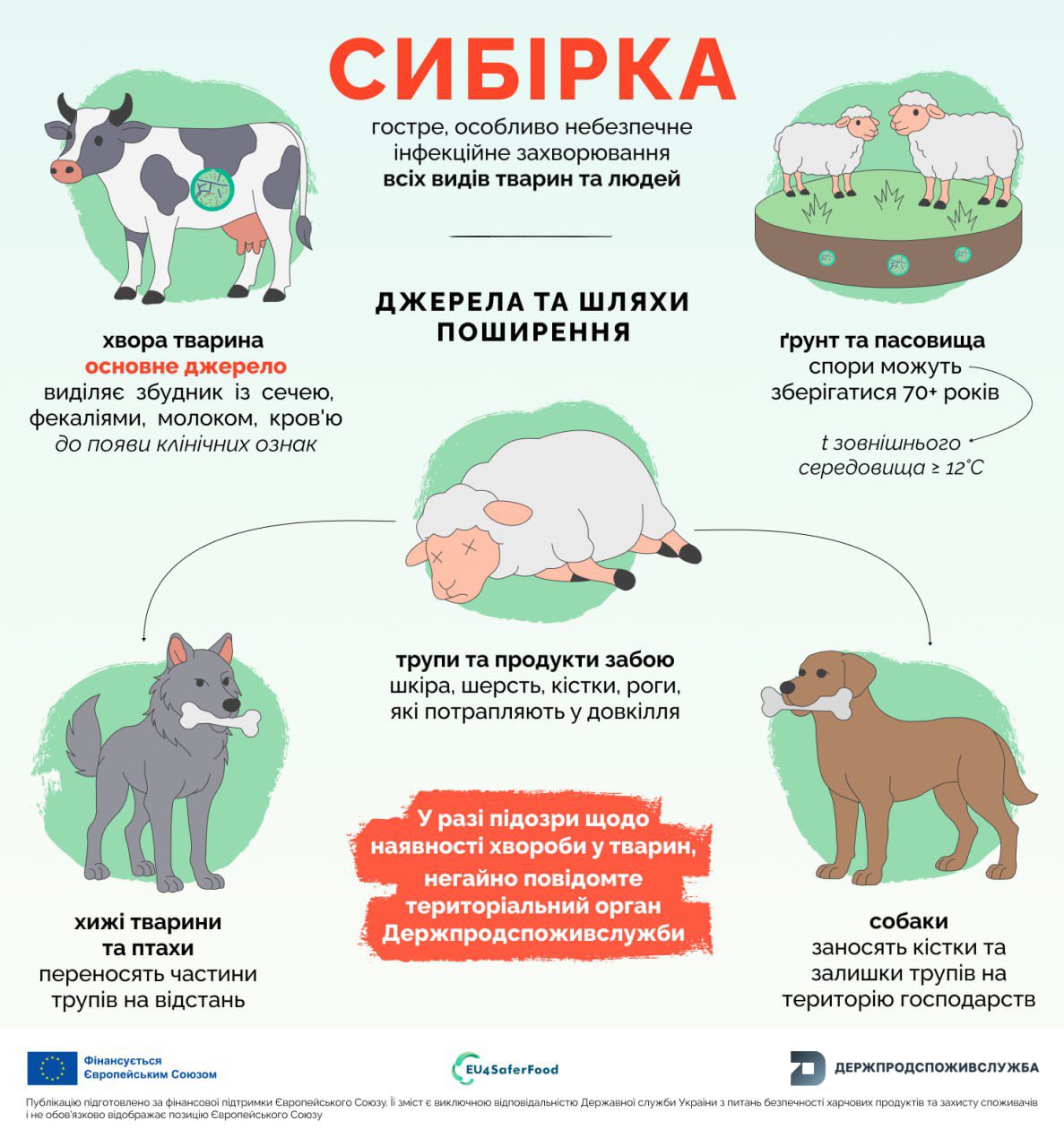 575106033_720018641120725_2336727174622422045_n