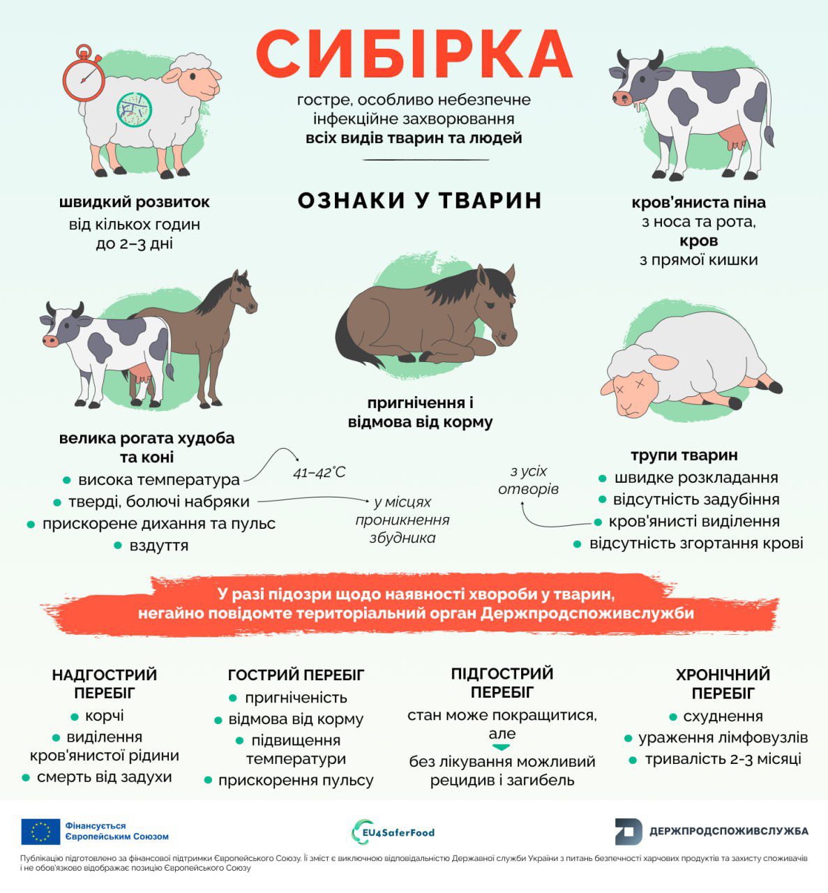 575108764_720018701120719_2535956335180902272_n