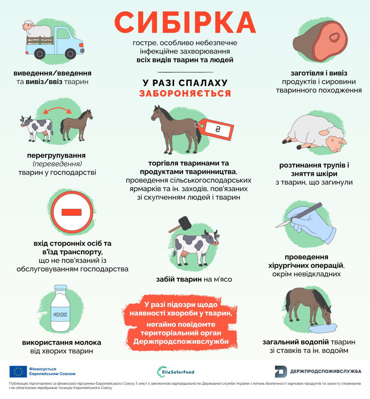 575164619_720018557787400_2617360677546561541_n