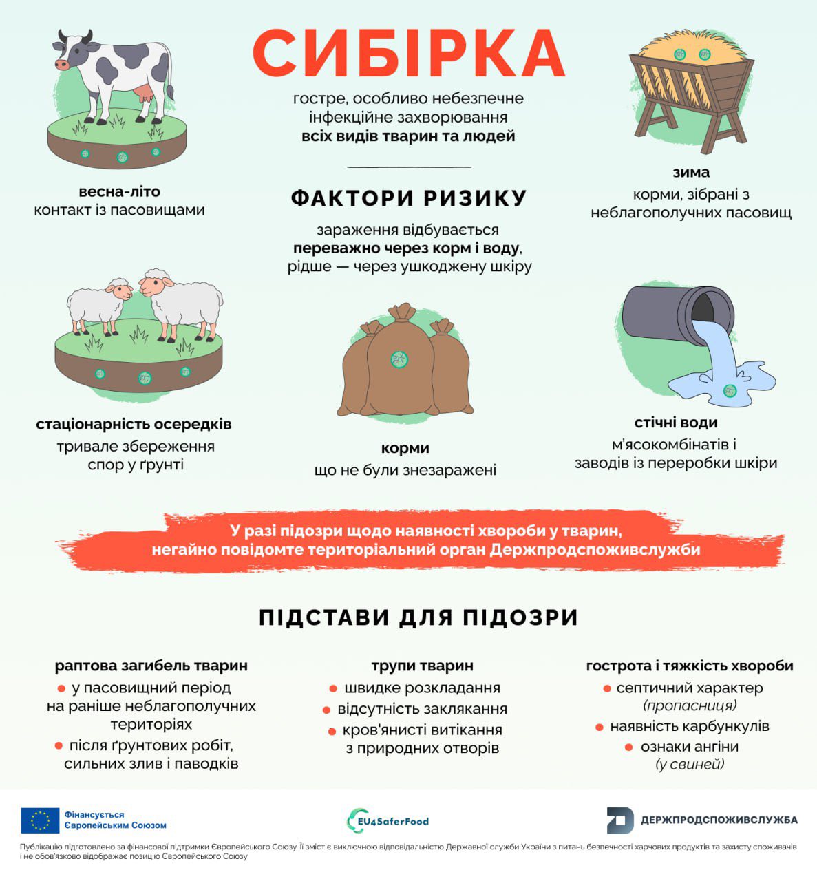 575171386_720018564454066_7600251337983148361_n