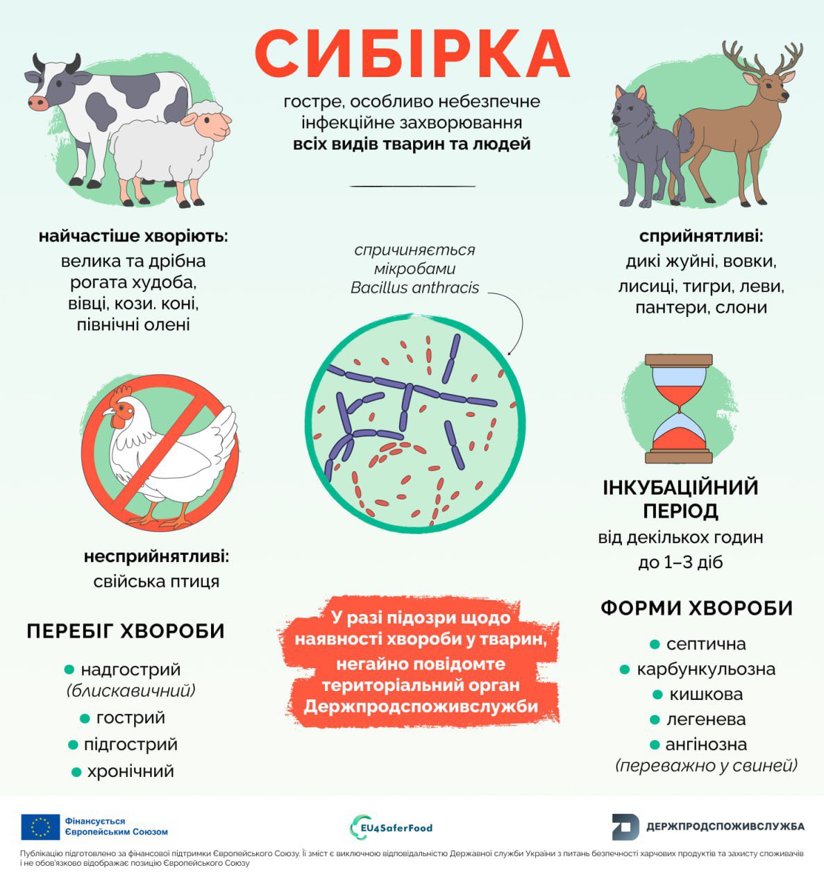 576972358_720018614454061_8566932692348744999_n