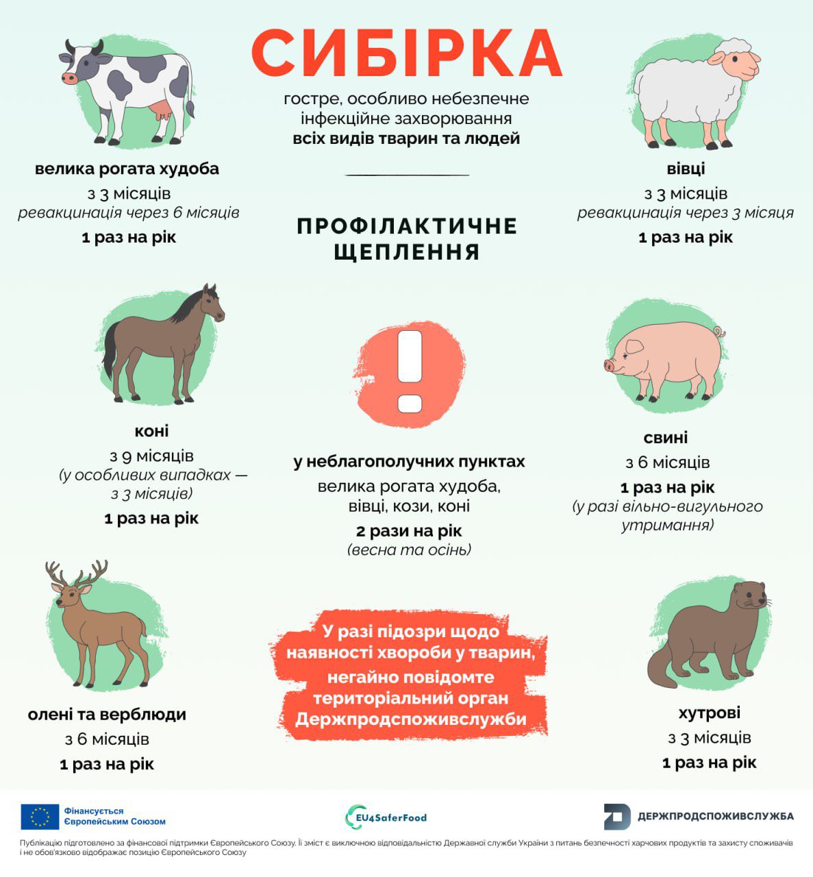 577326393_720018661120723_7827481367585474741_n