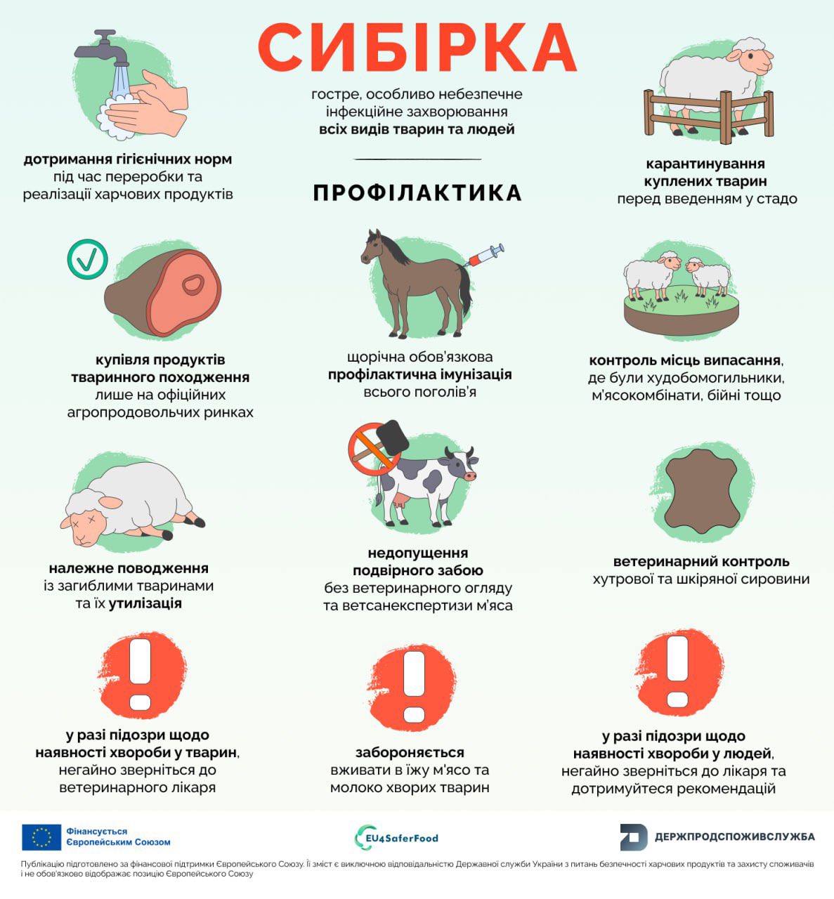 577882672_720018667787389_5770679263414047571_n