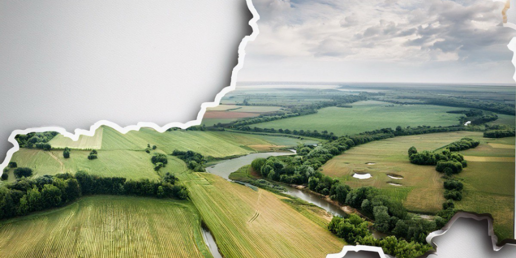 Держпродспожив - 2025-11-28T101457.187