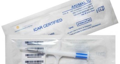 animal-id-tag-zoohub.680x907