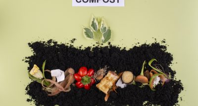 composition-compost-made-rotten-vegetables(1)