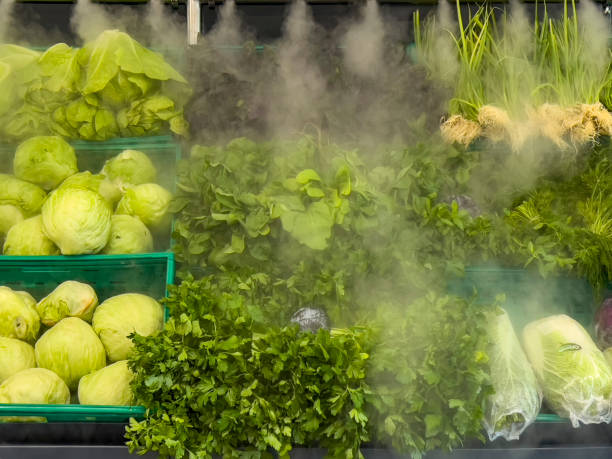 Fresh groceries in the supermarket. Spraying water on leafy green vegetables. Food watered by automatic greenhouse irrigation system. Agricultural Sprinklers. Hydroponic cultivation of herbs, salads and cabbage. Mist blows over the leaves of greenery. Vegan balanced food background in natural green with large copy space.