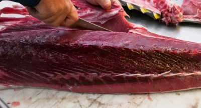 pexels-kindelmedia-8352014