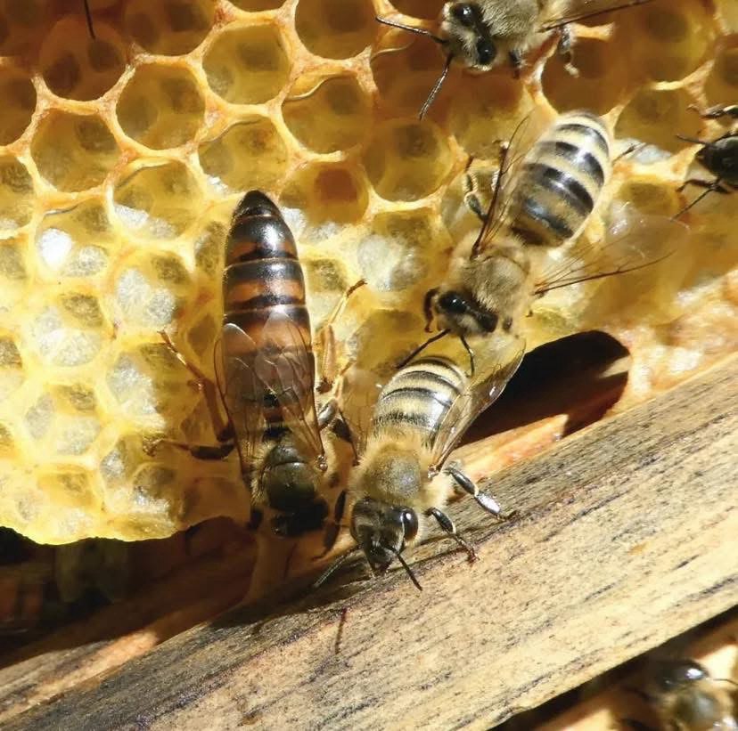 photo_2025-08-04_11-05-21