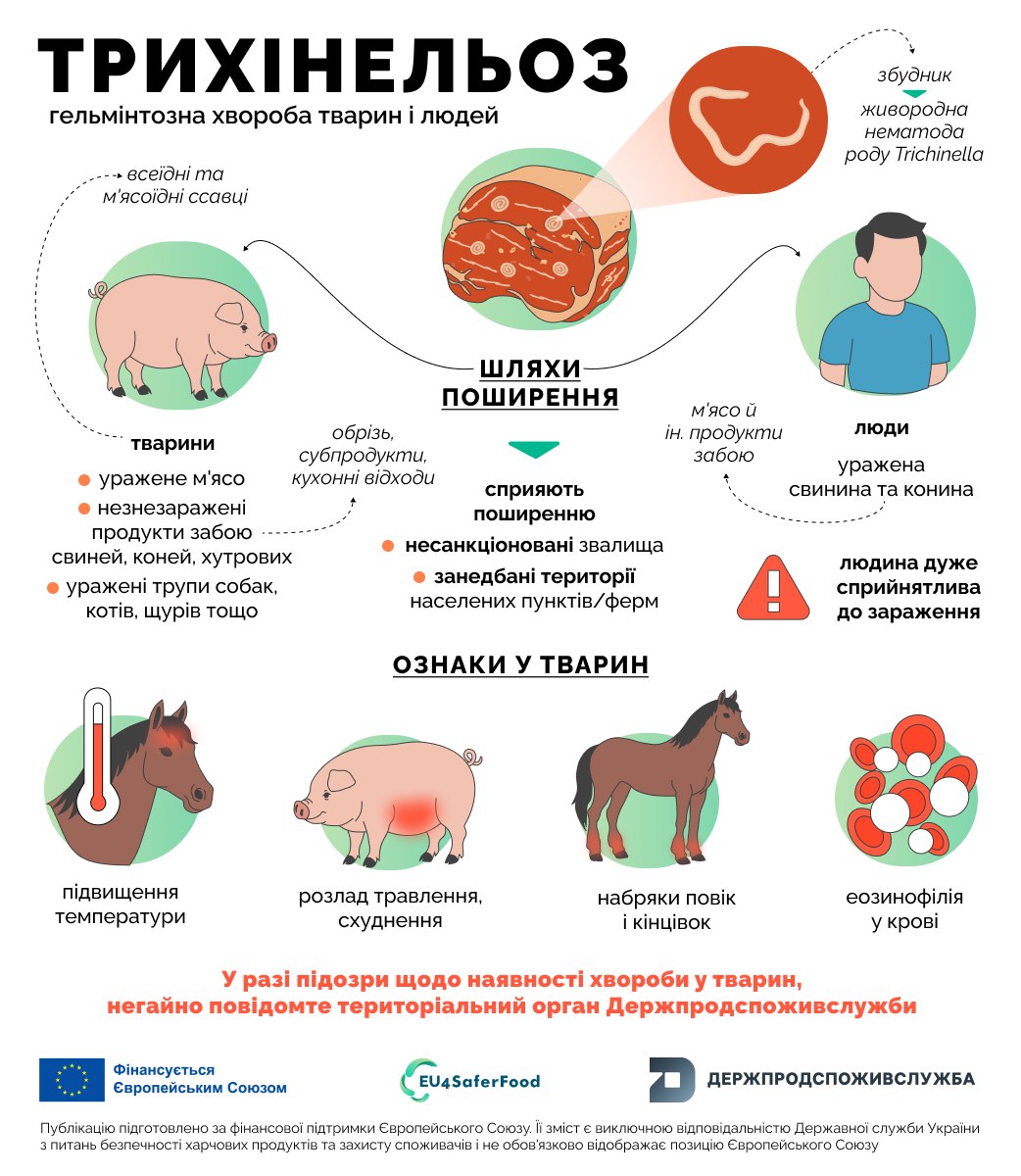 photo_2025-11-05_15-51-32