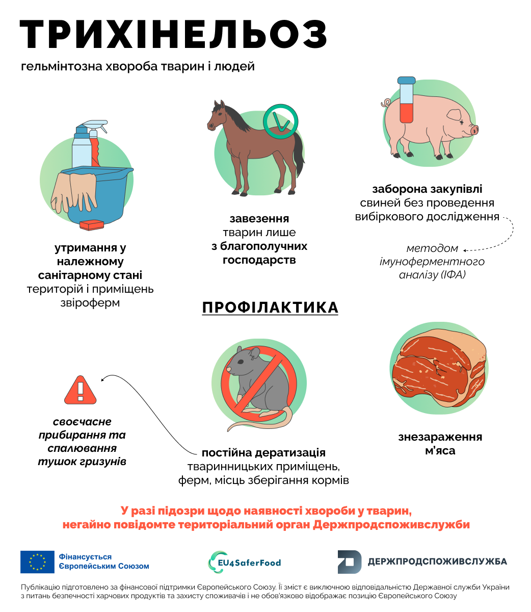 tvarini-2-trixinelyoz