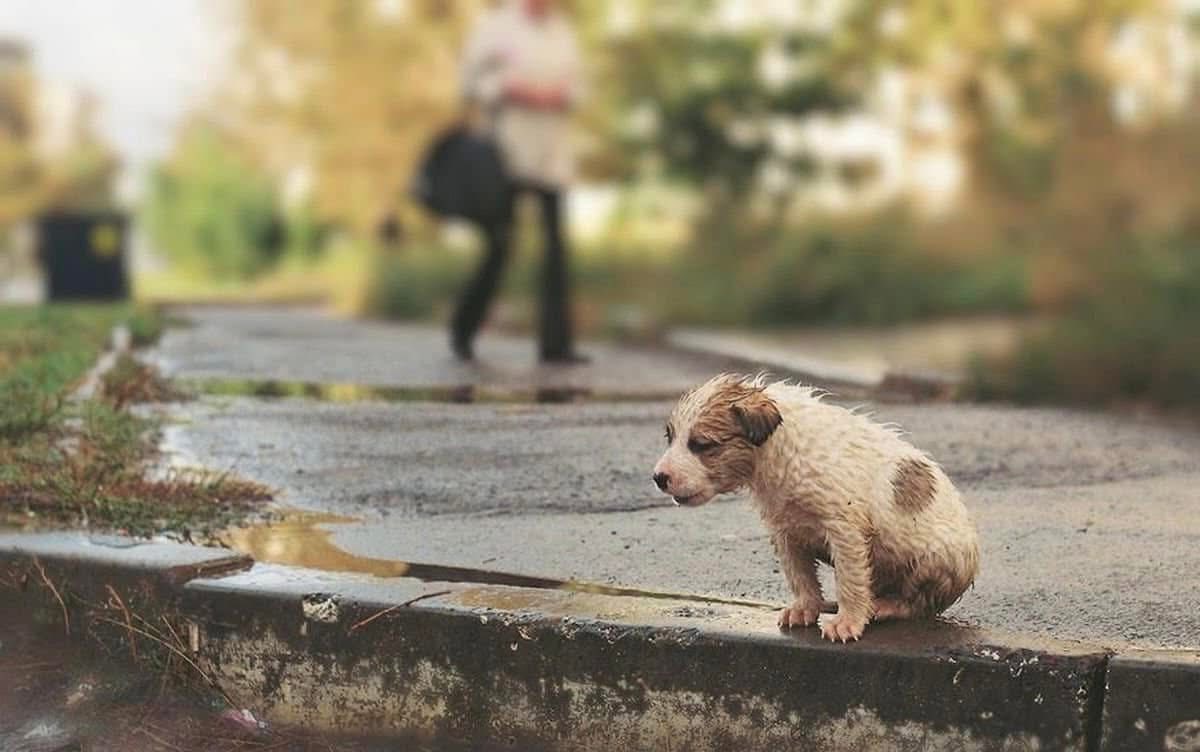 557606563_1431892908944113_3026002137455229907_n