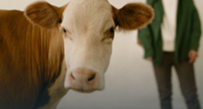 img_1ffc4eb5d510eaf13178efd0cda67e35