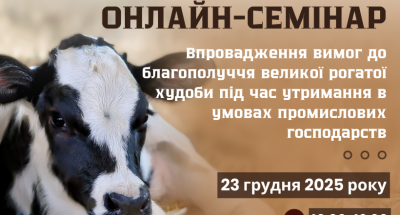 img_2eca9156253001bd912231471ac645bf