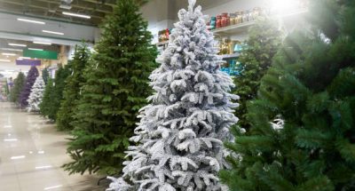 Sale of many artificial Christmas trees in green, purple and white at a decor store