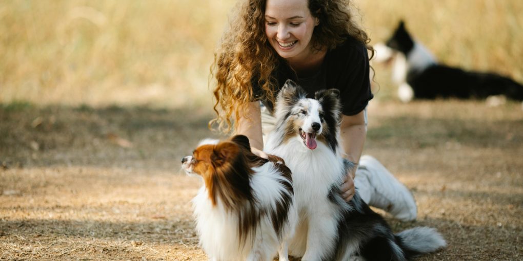 pexels-blue-bird-7210486