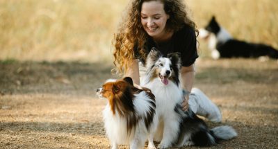 pexels-blue-bird-7210486