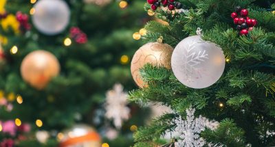 pexels-jimbear-1723679