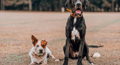 pexels-newton-films-907972741-33024125