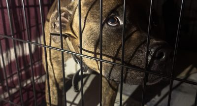 photo_2025-12-09_09-40-14