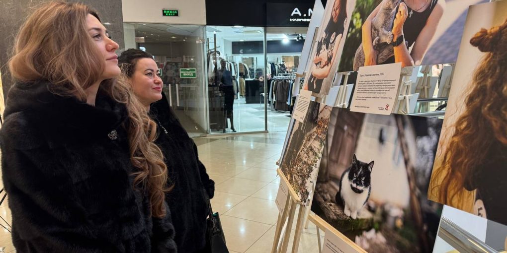 photo_2025-12-18_14-07-01