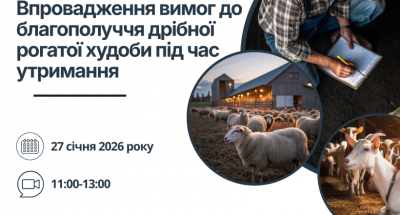 img_0c2df0cf07321e765fa32ea2f0788c8d