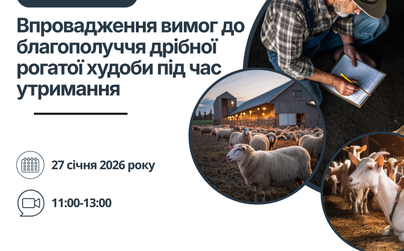 img_0c2df0cf07321e765fa32ea2f0788c8d