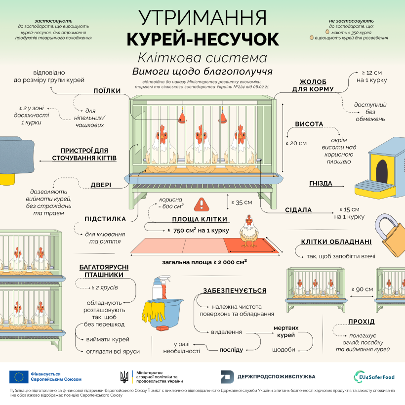 img_7dc71460365cef7505e56e4c52e474ef