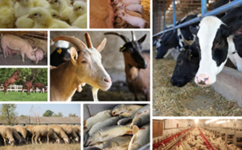 img_befec9434b470b052c1a8661d1b008f6