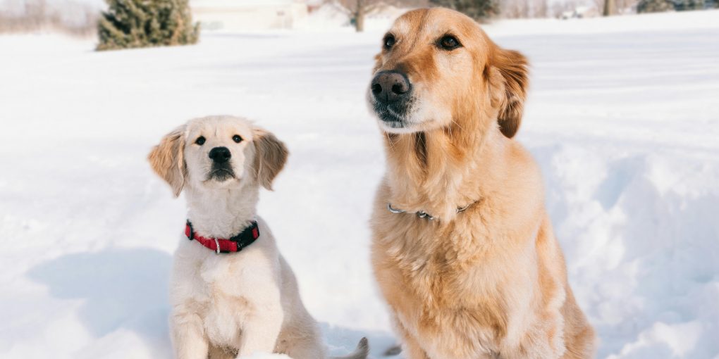 pexels-nord6-6899104