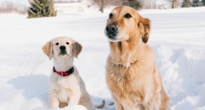 pexels-nord6-6899104