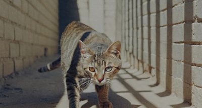 88b2a504-611e-4251-8da9-4ac4be6ef474