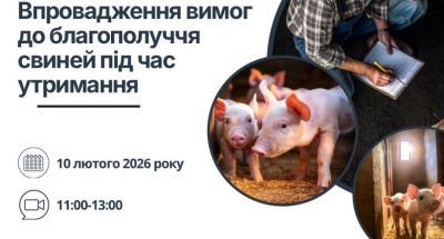 img_2f31acc4309f14bf63a2fa7a4b70693f