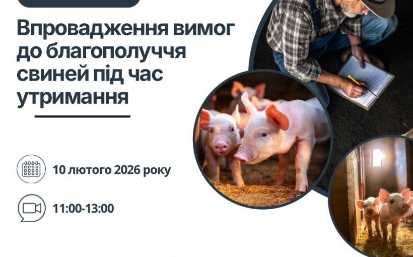 img_2f31acc4309f14bf63a2fa7a4b70693f