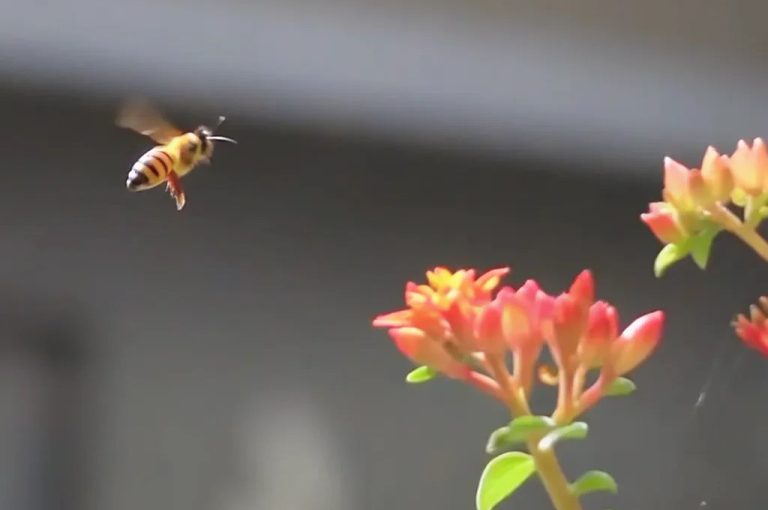 8ed9f90b-93b4-48c8-950c-987b0b1ec238