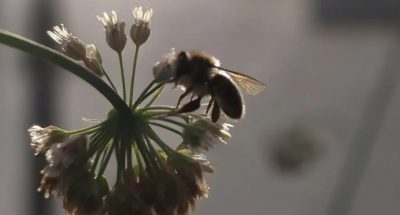 95fa1feb-1360-4fc1-a6f0-8e05c54ea763